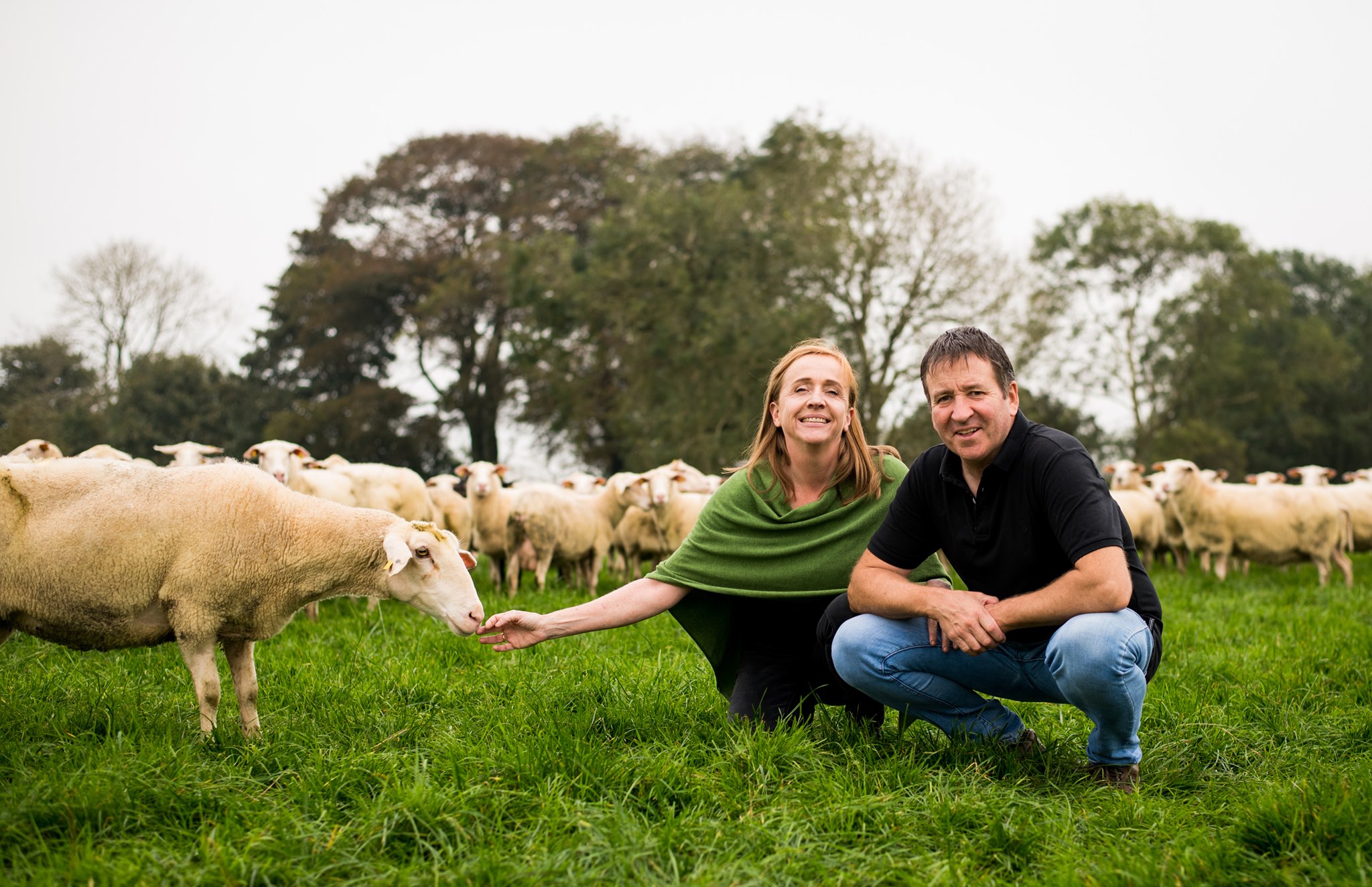 Step Into The Animals